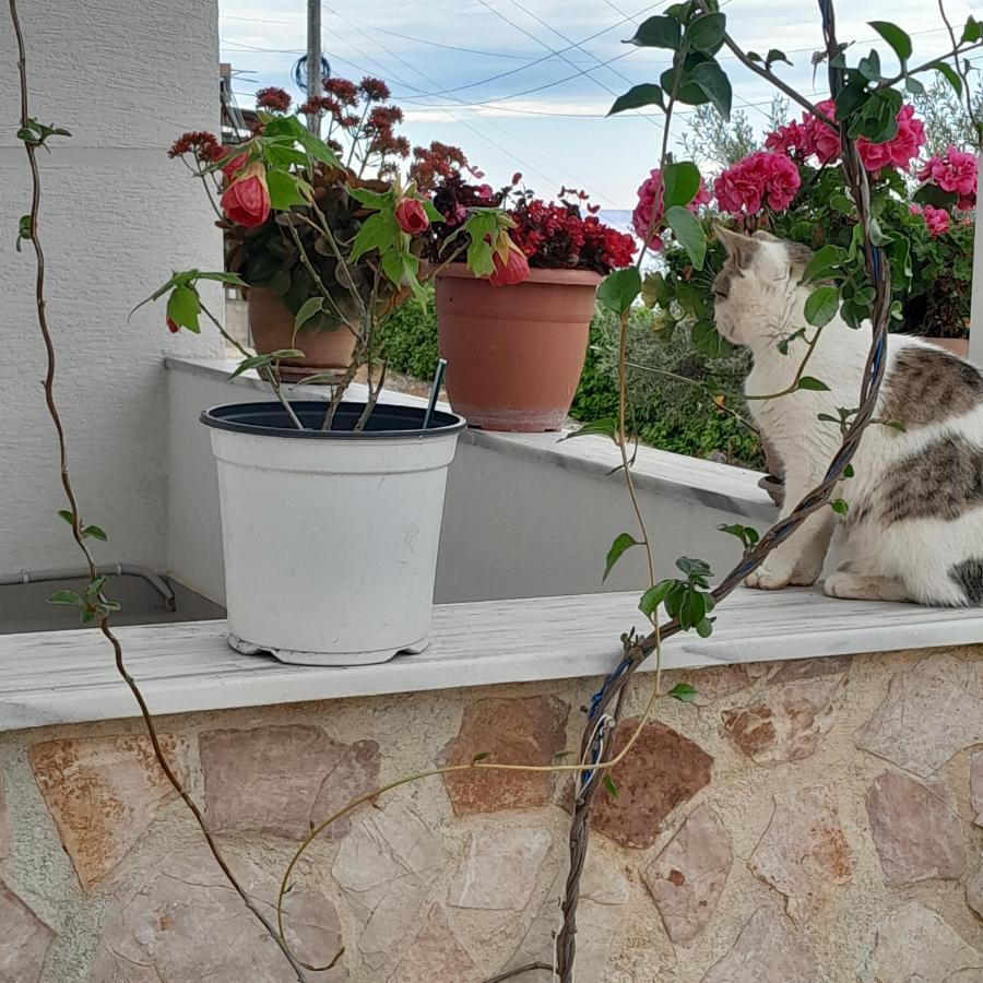 Denni'S Home Саранда Экстерьер фото